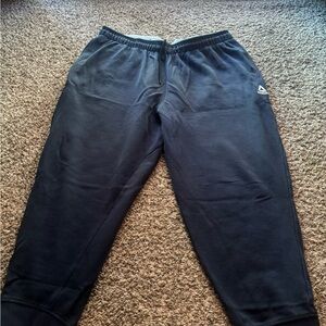 Reebok blue Jogger Pants